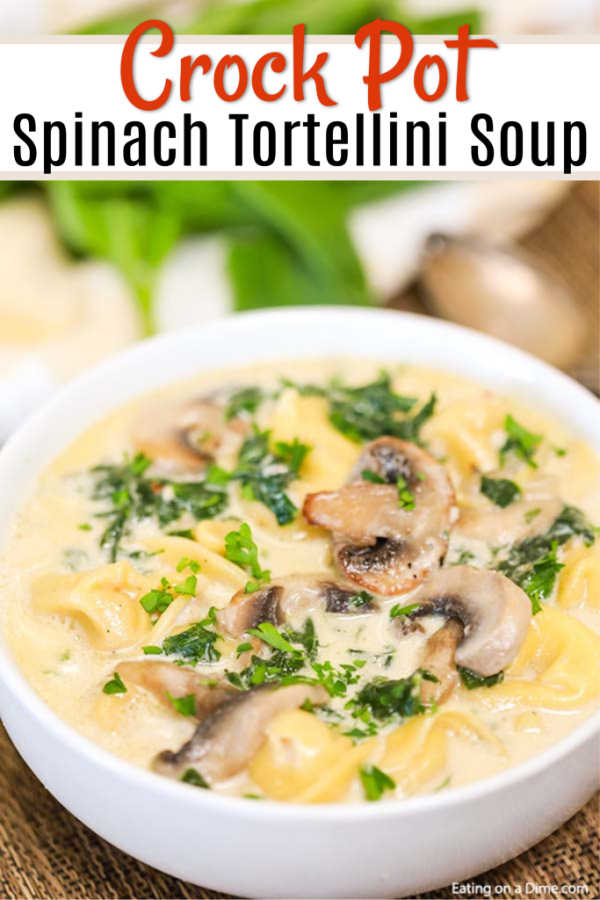 Crock Pot Spinach Tortellini Soup Recipe is the perfect recipe to make for Meatless Monday or any day of the week! This soup is creamy and delicious!