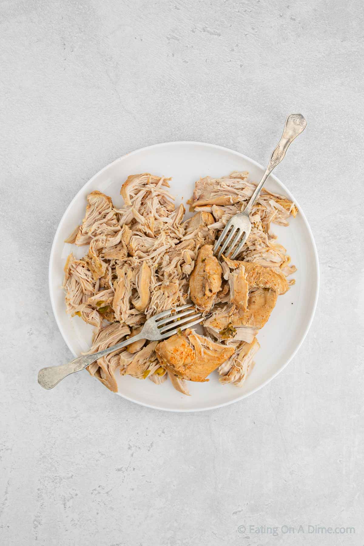 Shredding the chicken on a plate with two forks