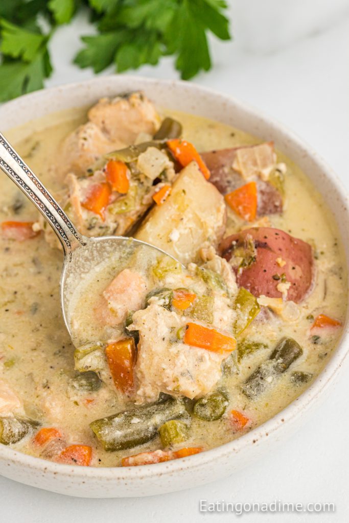 Close up image of Creamy Chicken Stew in a bowl with a spoon