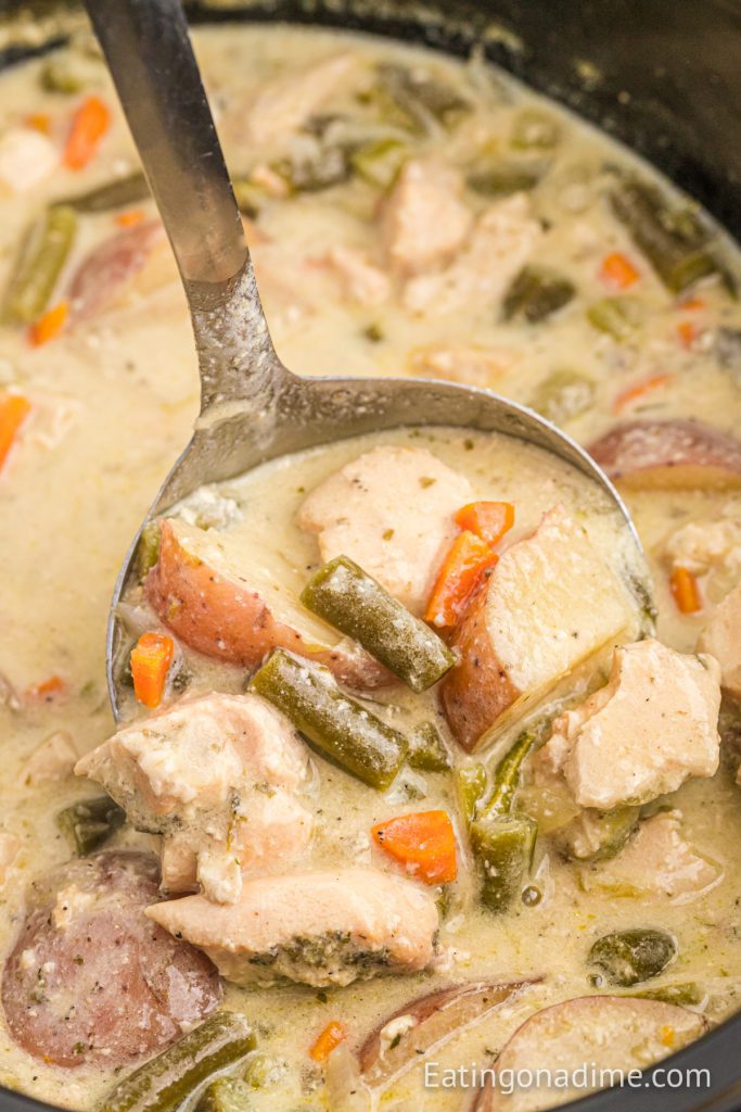 Close up image of Creamy Chicken Stew in a slow cooker with a ladle