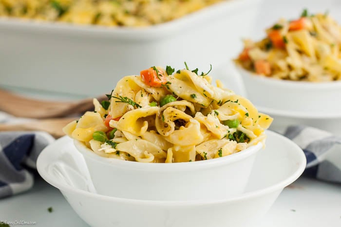 Chicken noodle casserole recipe is easy and the best comfort food. Creamy chicken and noodles with cheese make this a casserole everyone will go crazy over.
