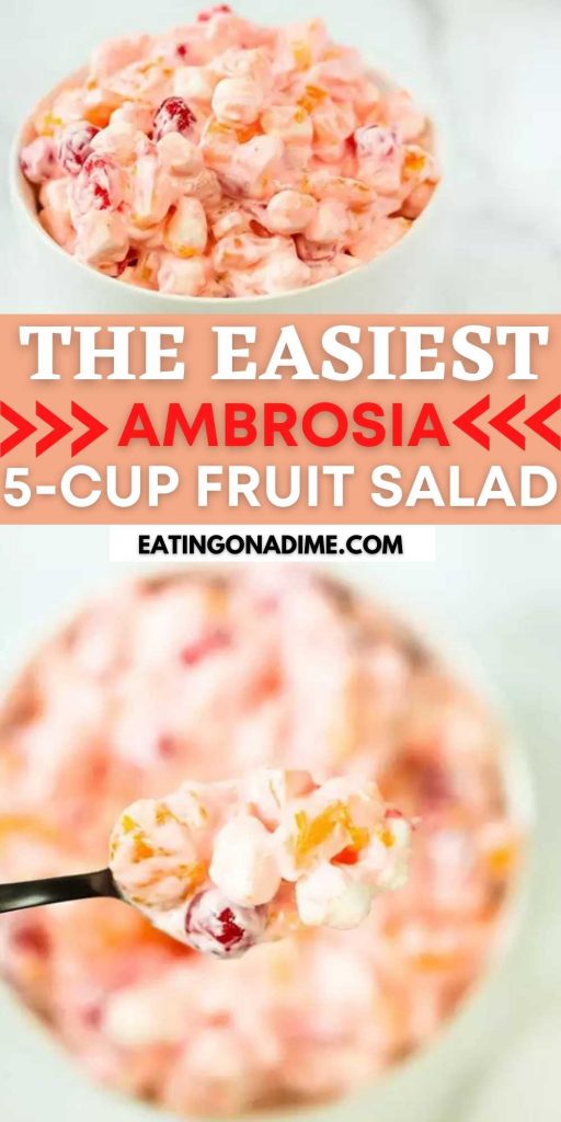 A classic 5 Cup Salad Recipe! You are going to love this Easy Ambrosia recipe. Sour cream gives this Ambrosia Salad the perfect tang! Try it today! This is the perfect holiday side dish recipe.  This is one of my favorite salad recipes.  #eatingonadime #saladrecipes #holidayrecipes #sidedishrecipes 
