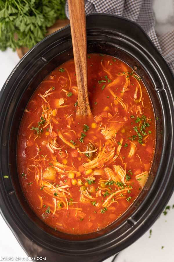 Crockpot Chicken Vegetable Soup Recipe - Slow Cooker Chicken Soup