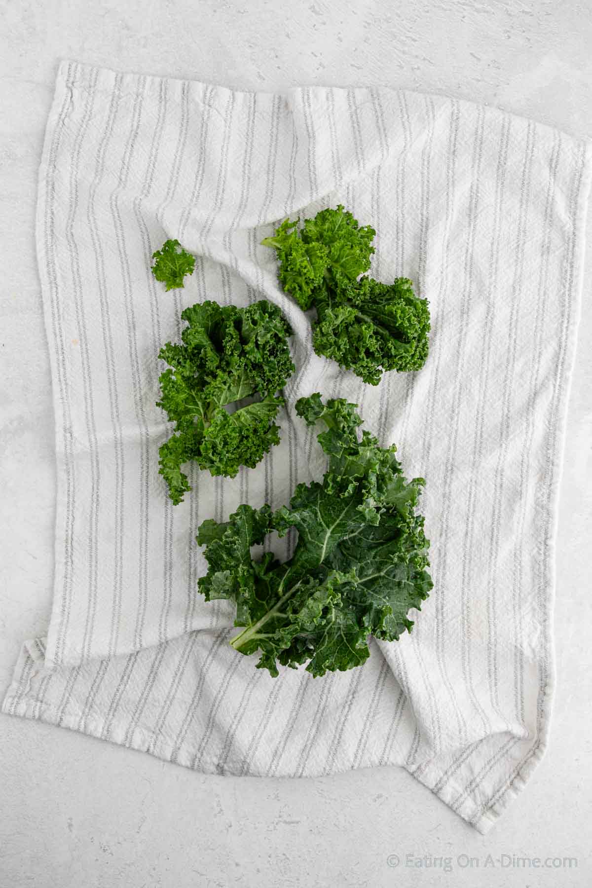 Drying the kale on a towel