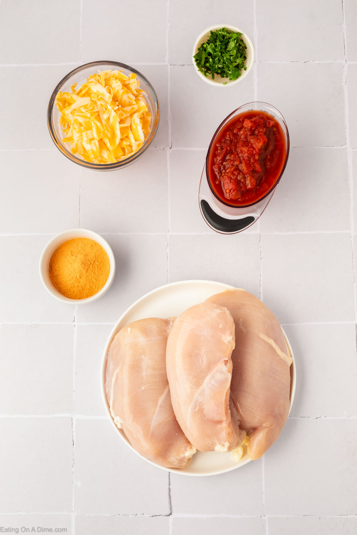 Ingredients for baked salsa chicken - chicken breasts, taco seasoning, salsa, cheese