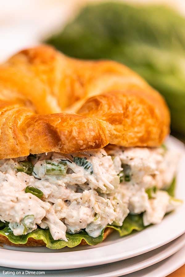 Close up image of chicken salad on a croissant on a white plate. 