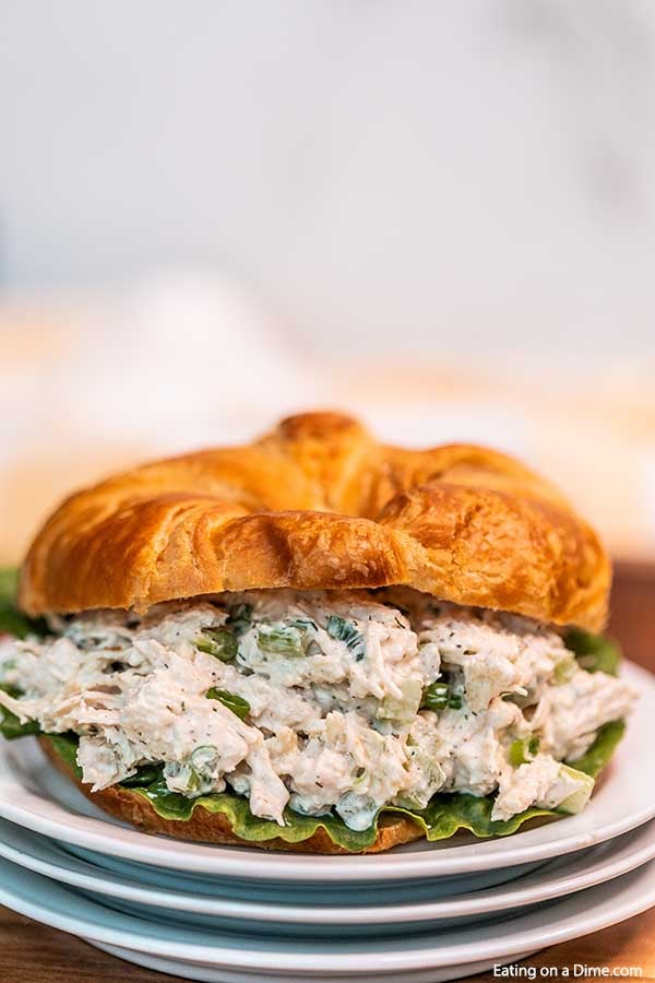 Close up image of chicken salad on a croissant on a white plate. 