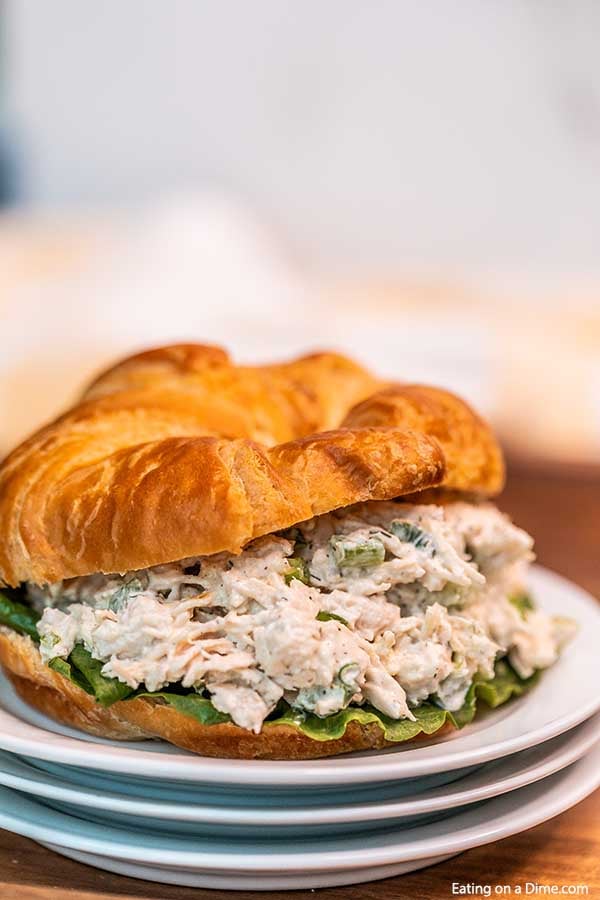 Close up image of chicken salad on a croissant on a white plate. 