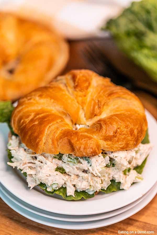 Close up image of chicken salad on a croissant on a plate. 