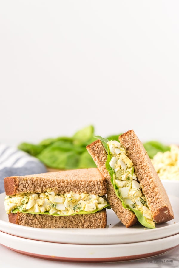 Make this delicious egg salad sandwich recipe for a quick lunch or a picnic dinner that everyone will love. It is budget friendly and easy to make. 