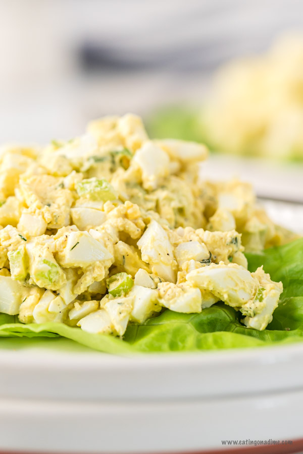 Egg salad on leaf lettuce