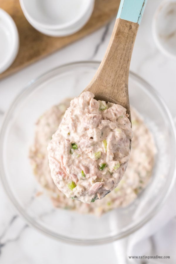 Delicious meals like this Keto Tuna Salad Recipe really make it so easy to stay on a keto diet. Keto tuna salad low carb recipe is perfect for a quick meal. Keto tuna salad lunch ideas are budget friendly and so tasty! Try keto tuna salad recipes low carb. #eatingonadime #ketotunasaladrecipe