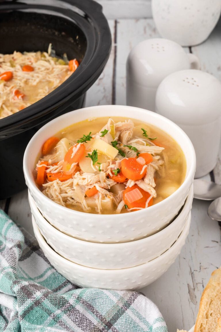 Crock Pot Chicken Stew Recipe Eating on a Dime