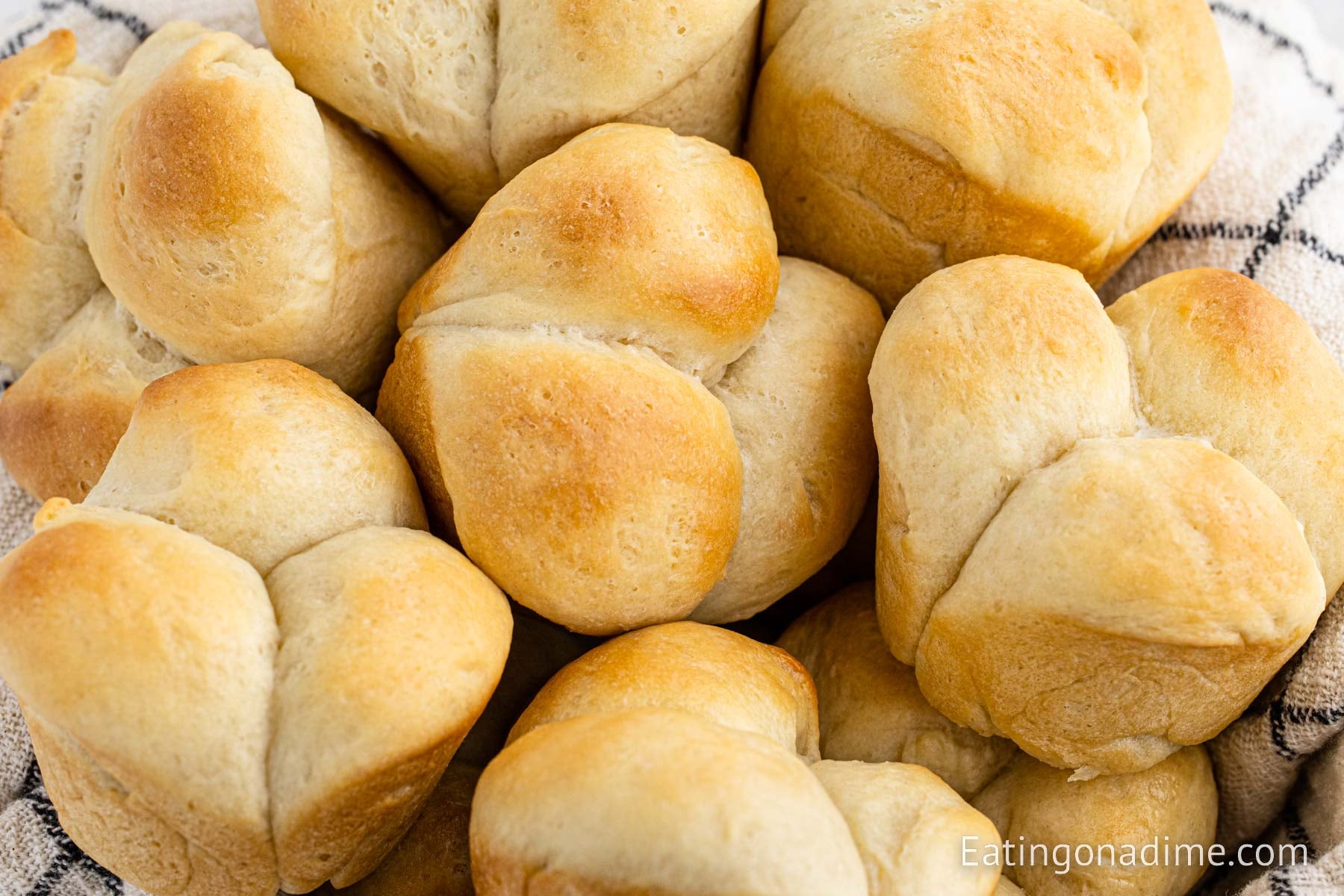 Easy Homemade Dinner Rolls Recipe