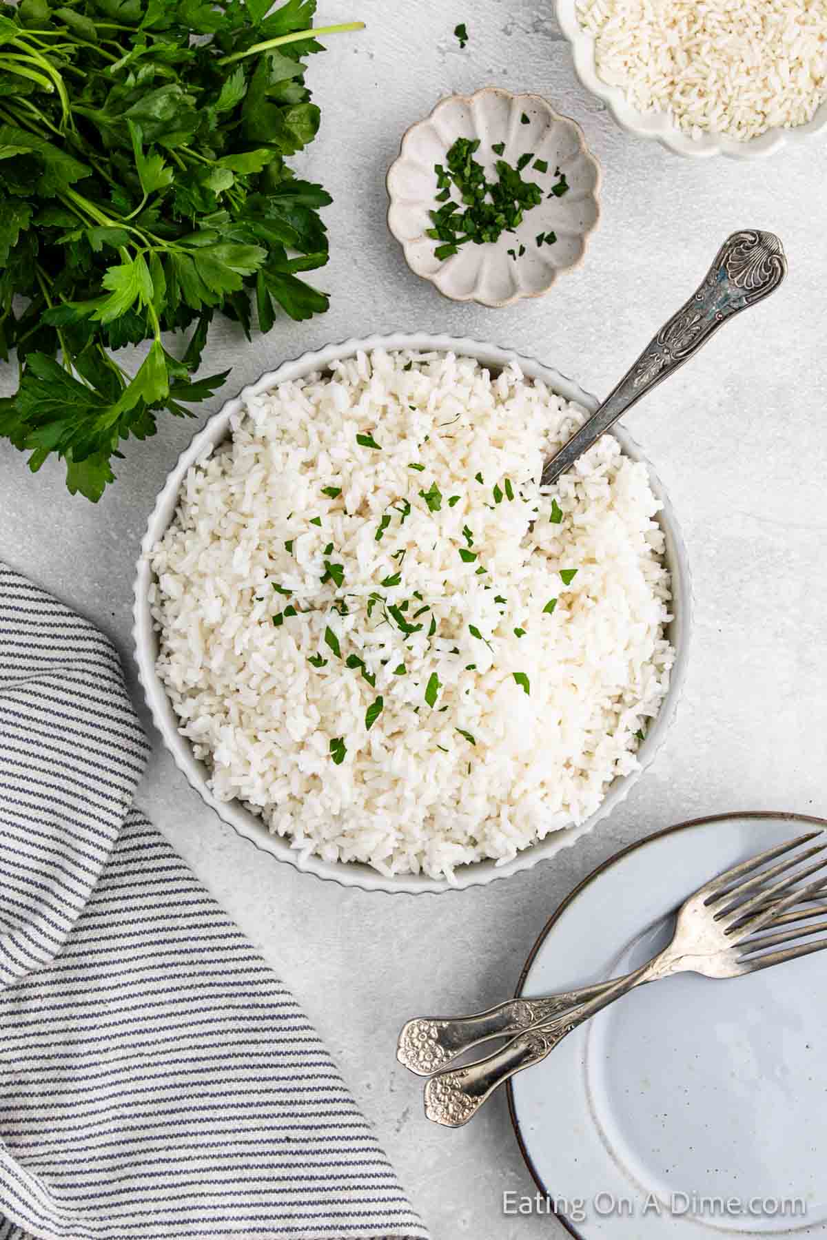 White rice in a bowl topped with fresh parsley