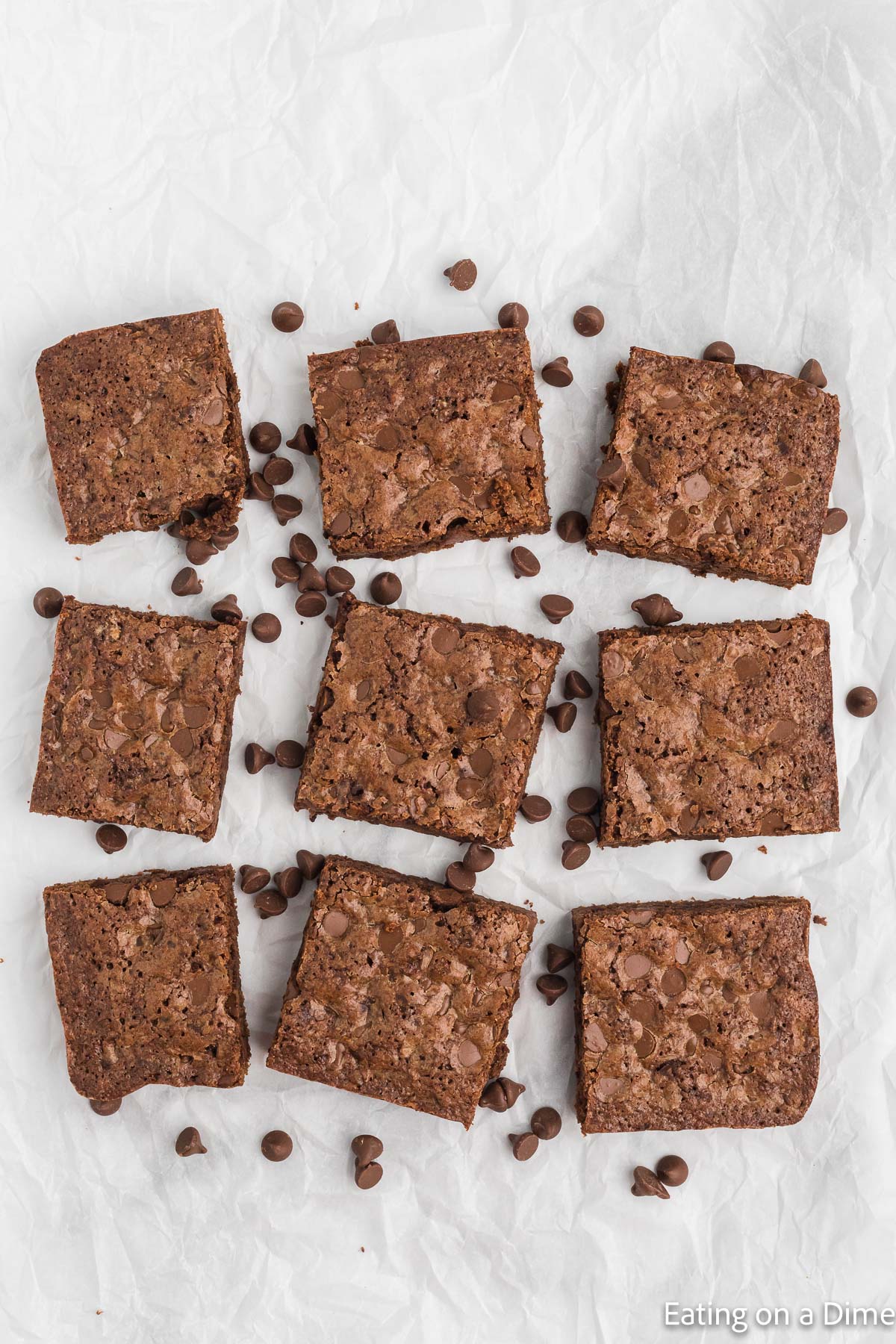 Double Chocolate Chip Brownies cut into squares