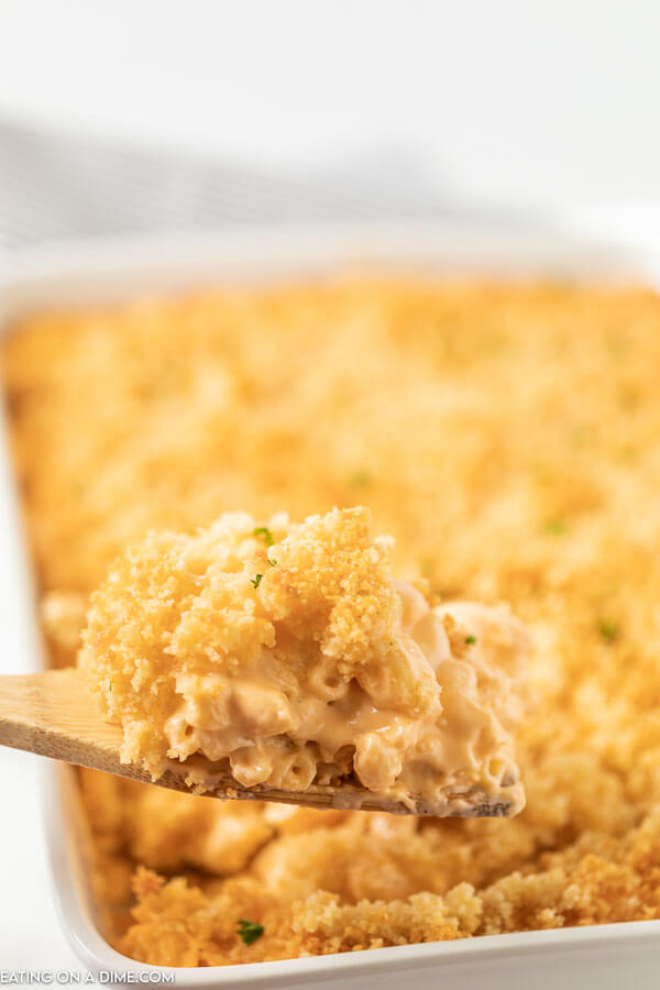 Close up image of baked mac and cheese in a pan with a serving on a wooden spoon. 