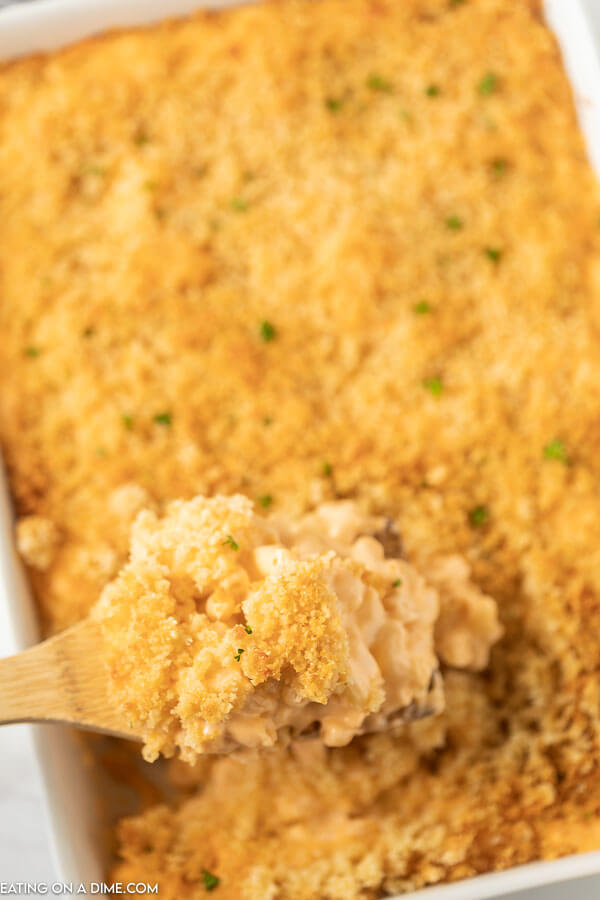 Close up image of a pan of baked mac and cheese with a serving on a wooden spoon. 
