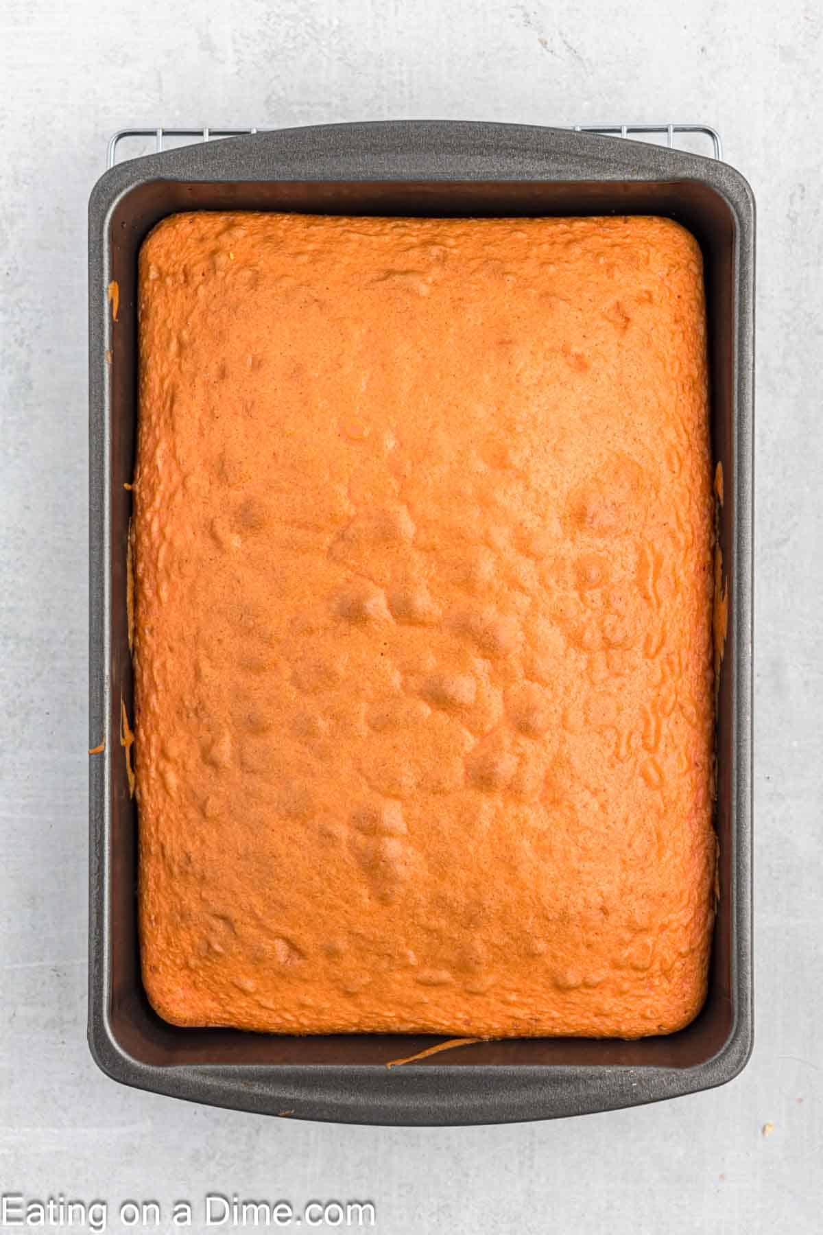 Baked cake in a baking pan