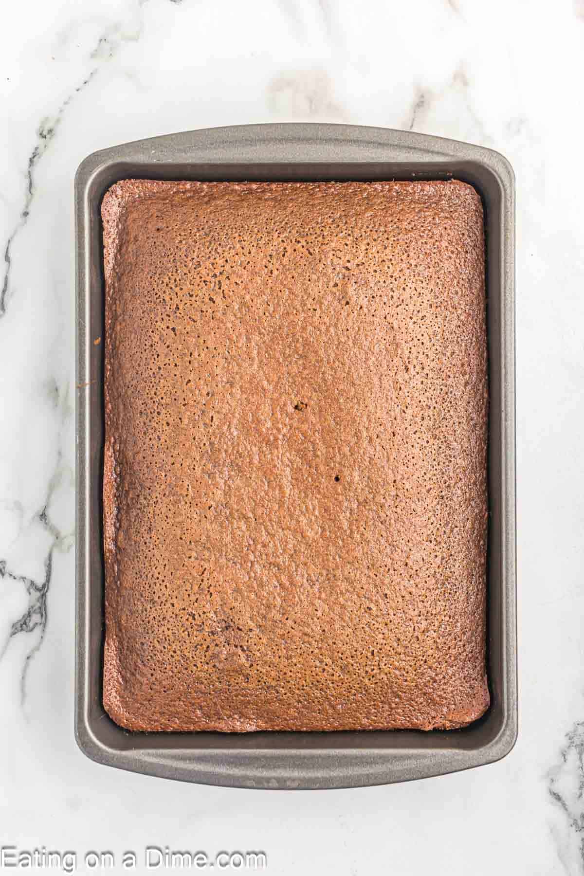 Baked cake in a cake pan