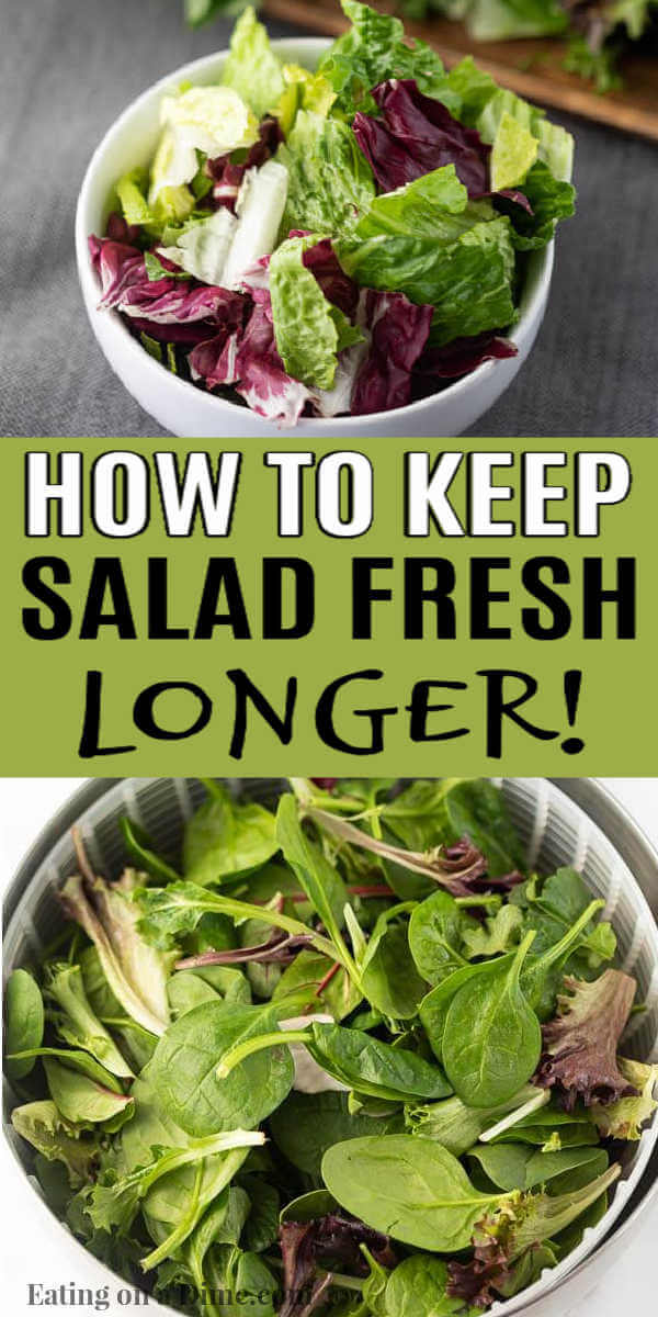 Have you ever wondered How to Keep Salad Fresh? We have all the tips and tricks to save you money and make your salad last longer. Learn how to keep a salad mix fresh longer and prevent it from getting soggy. Learn how to make salad last all week! #eatingonadime #kitchentips #keepsaladfresh 