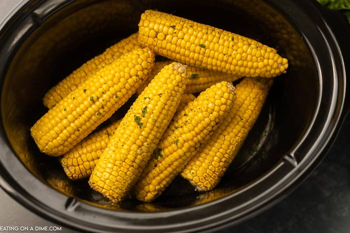 picture of corn on the cob