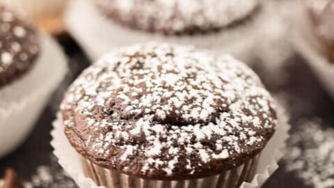 2 ingredient chocolate cupcakes