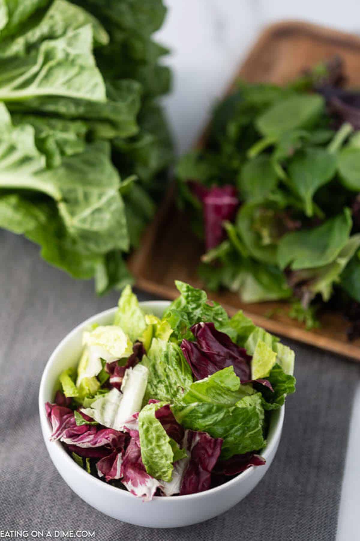 Have you ever wondered How to Keep Salad Fresh? We have all the tips and tricks to save you money and make your salad last longer. Small white bowl of lettuce greens and purple cabbage