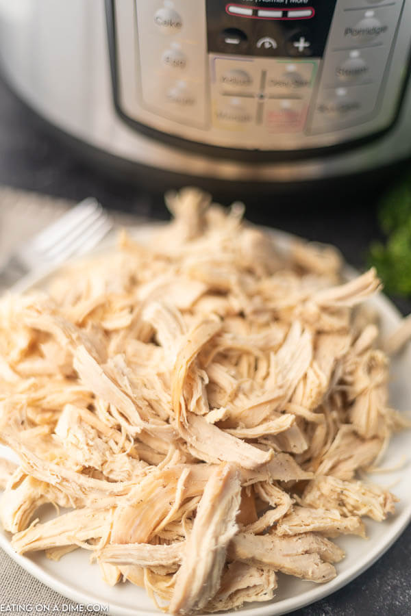 picture of shredded chicken