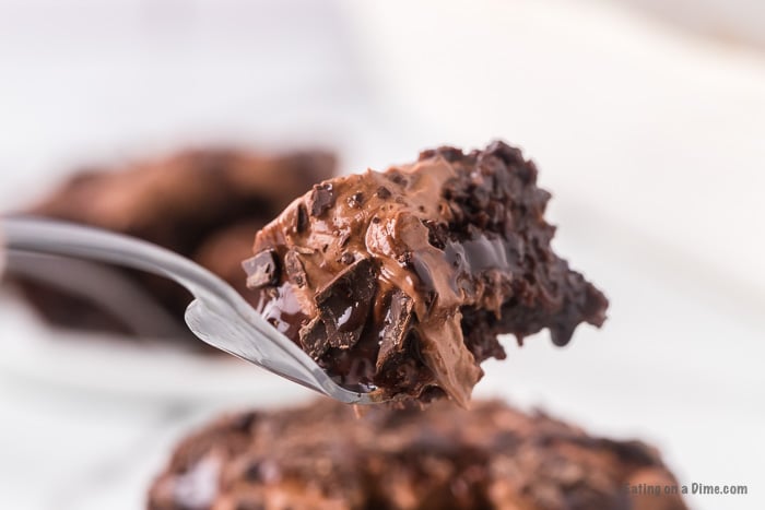 Closeup fork of chocolate poke cake.