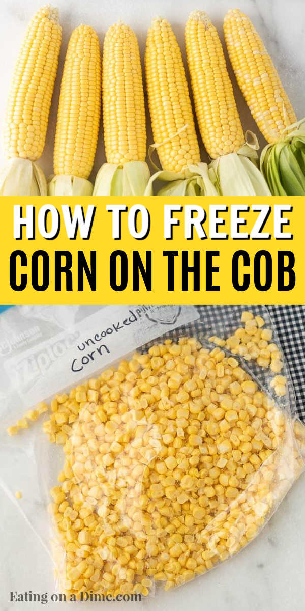 See how to freeze corn on the cob to save you money.  This is 3 ways to freeze corn without cooking, without blanching and on or off the cob!  Check out how to freezer corn on the cob or corn off the cob for beginners.  You will love this kitchen hack. #eatingonadime #kitchenhacks #freezeingtips 
