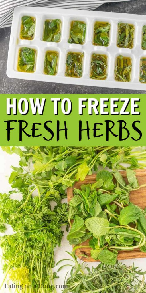 How to freeze herbs in olive oil with ice cube trays so you can enjoy fresh herbs year round. Freezing herbs are easy to do with this simple trick. You’ll love this easy freezing tip! #eatingonadime #freezingtips #freezingherbs 
