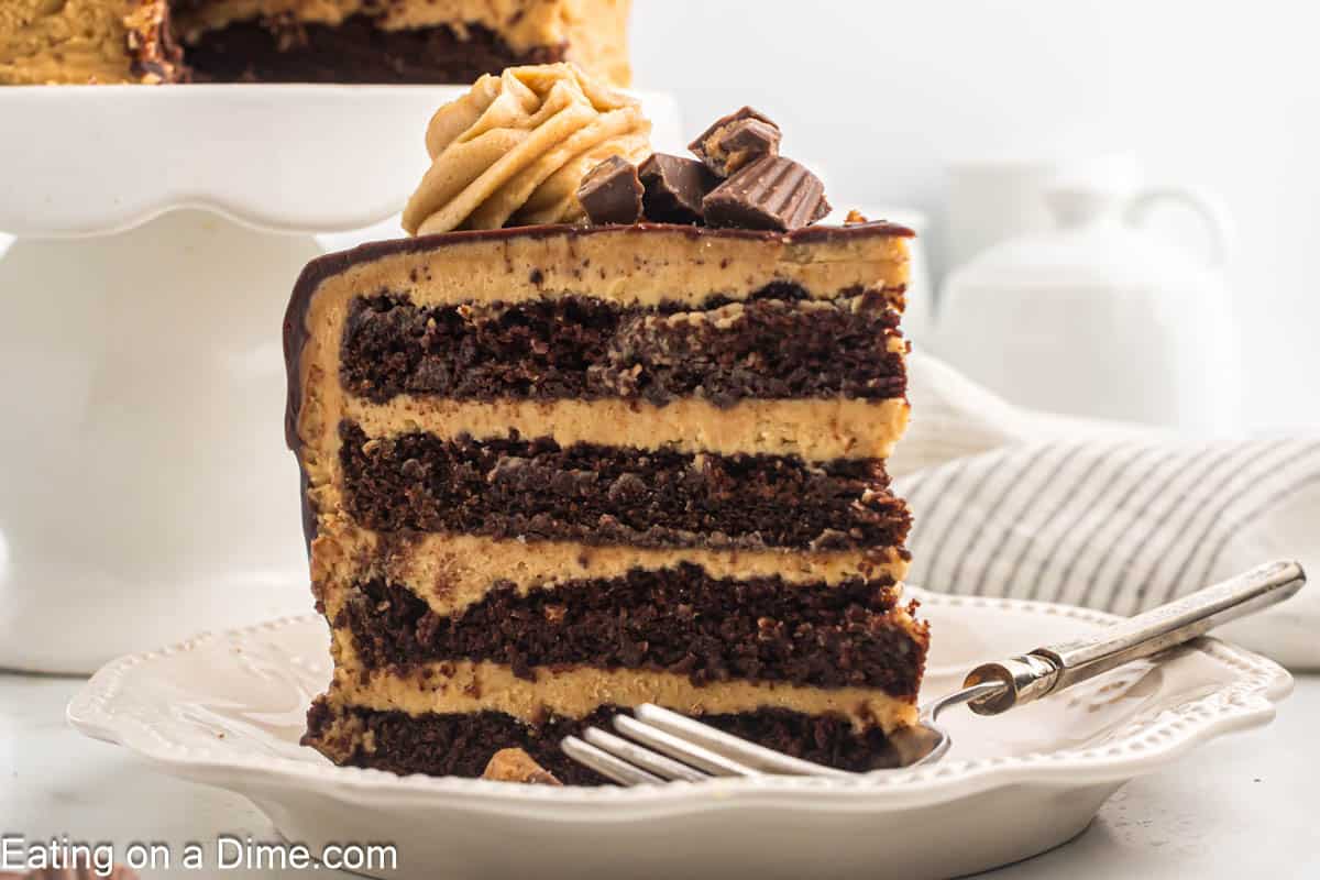 Chocolate Peanut Butter Cake