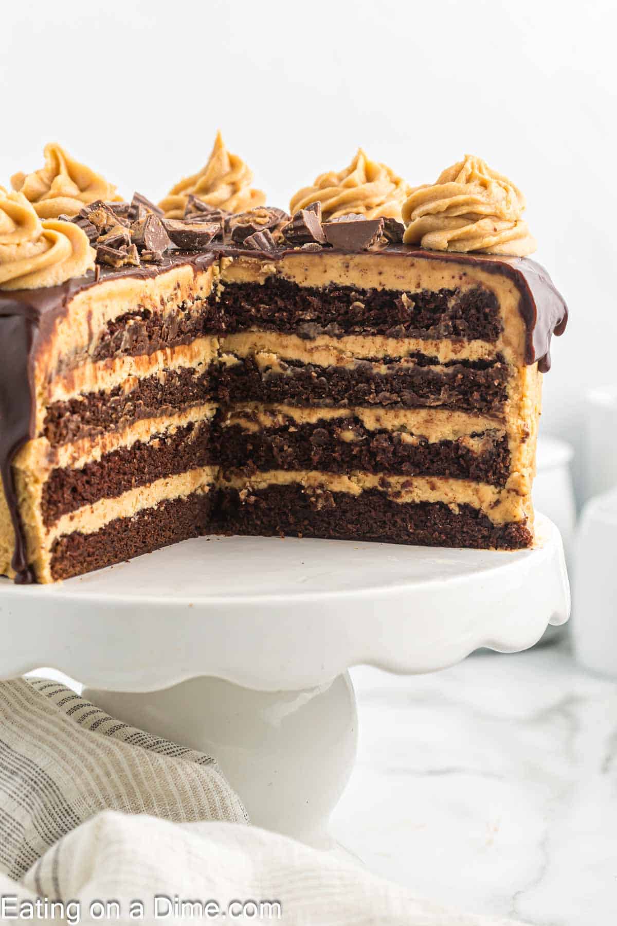 Chocolate and Peanut Butter Cake on a cake stand 