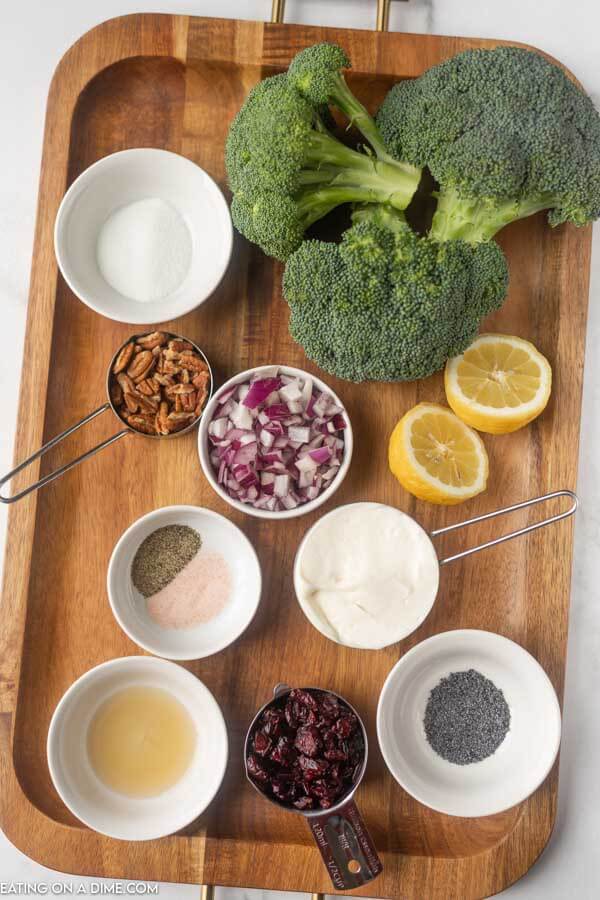 ingredients for salad: broccoli, seasoning, cranberries, vinegar, mayonnaise 