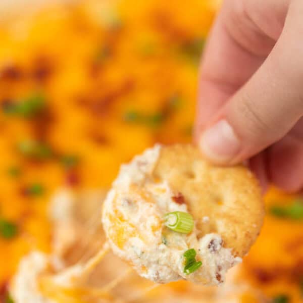 A hand holds a round cracker topped with creamy crack dip recipe, melted cheese, bacon bits, and chopped green onions. In the background, more of the delicious cheesy dip with a similar colorful topping can be seen.