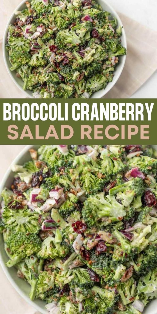 Broccoli Cranberry Salad is a quick salad recipe that is full of fresh crisp broccoli and dried cranberries. It’s all tossed in a creamy homemade dressing. This is one of my all time favorite side dish recipes that is perfect for any time of the year! #eatingonadime #broccolisalad #sidedishrecipes #saladrecipes 

