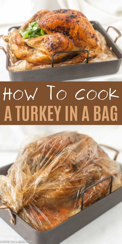 Get a perfectly moist, golden brown turkey by cooking the turkey in an oven bag. Learn how to cook a turkey in a bag in an oven.  It’s easier than you think and the turkey is perfect every time! #eatingonadime #turkeyrecipes #howtocookaturkey #holidayrecipes 
