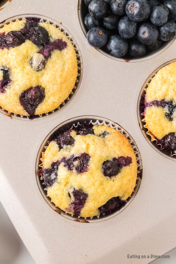 Baked blueberry muffins in muffin tin.