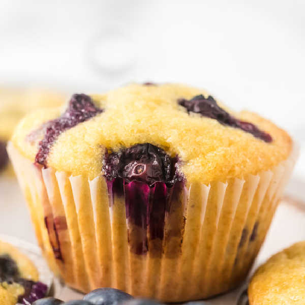 Close up photo of blueberry muffin.