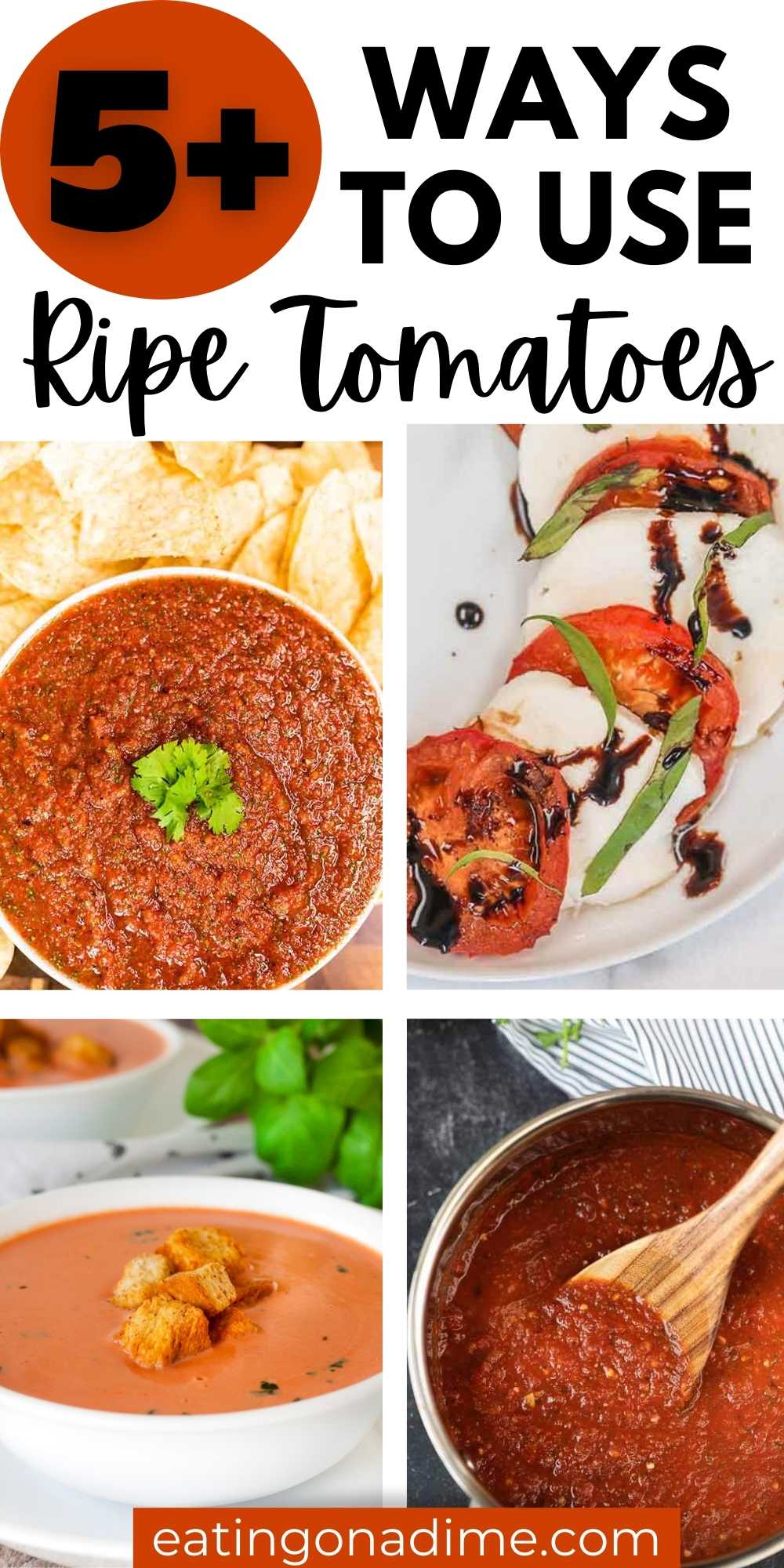 Looking for ways to use ripe tomatoes? You'll love these super easy ways to Use Tomatoes and your family will, too! You are going to love all of these great ways to use over ripe tomatoes and all are easy to make too! #eatingonadime #tomatorecipes #ripetomatoes 
