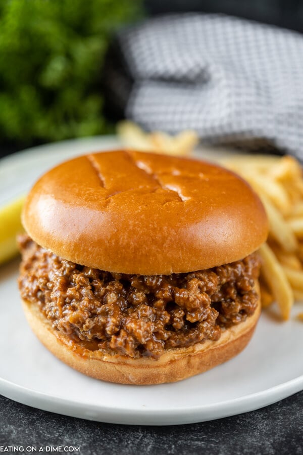 Close up image of sloppy joes on a bun. It is sitting on a white plate with a pickle and a side of french fries. 
