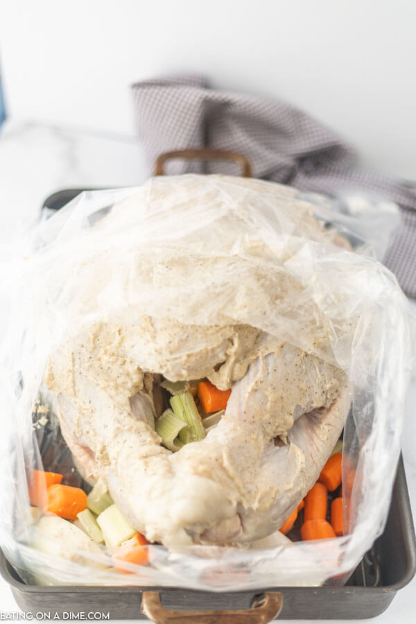 turkey coated with butter mixture and stuffed with vegetables in oven bag