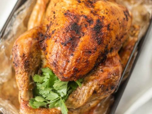https://www.eatingonadime.com/wp-content/uploads/2021/06/how-to-cook-a-turkey-in-a-bag-7-500x375.jpg