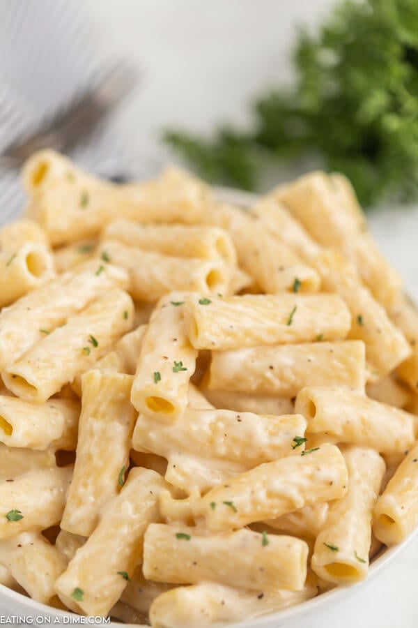 Bowl of white pasta sauce pasta. 