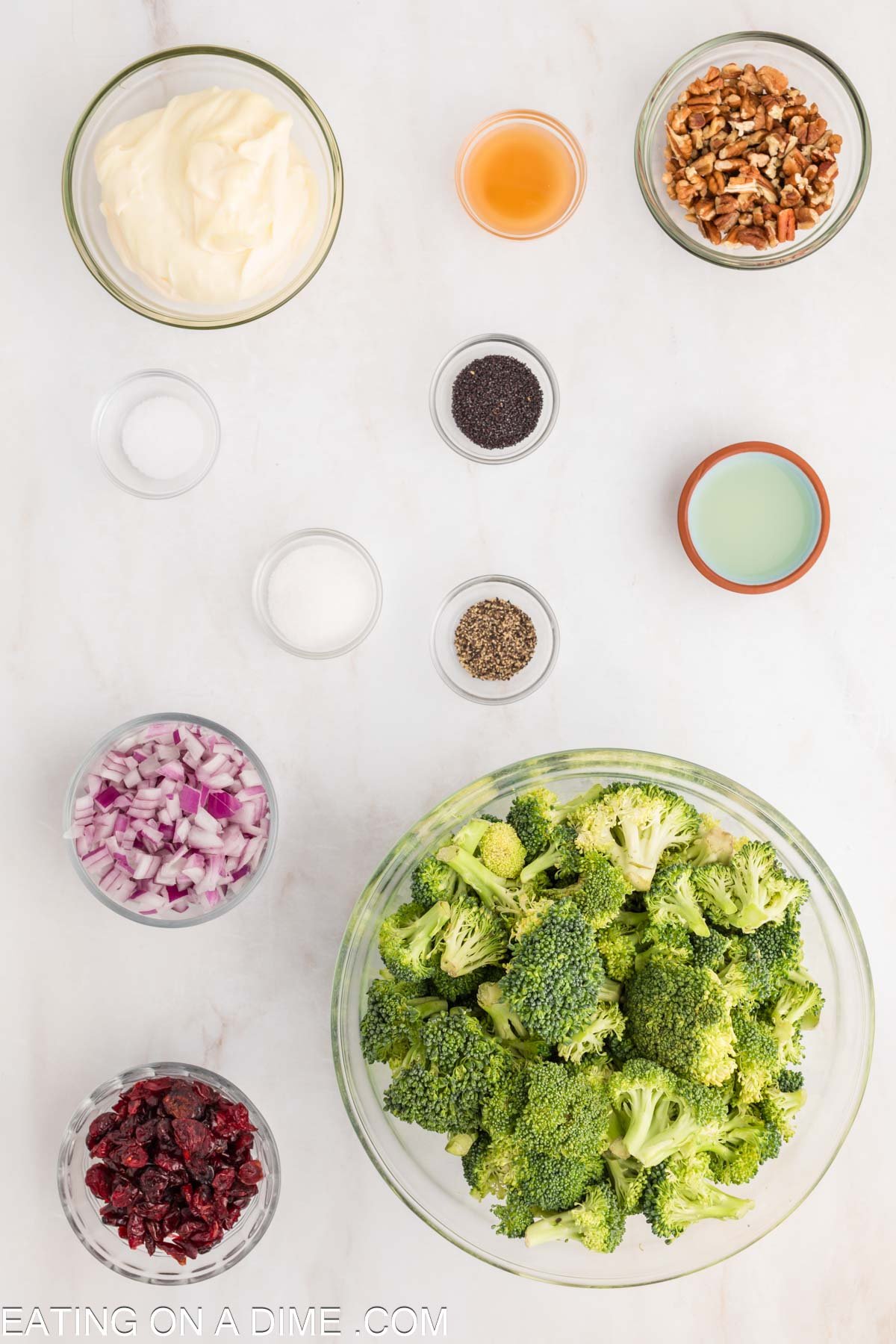Broccoli Cranberry Salad Ingredients - broccoli, red onion, cranberries, pecans, mayonnaise, vinegar, lemon juice, sugar, poppy seeds, salt and pepper