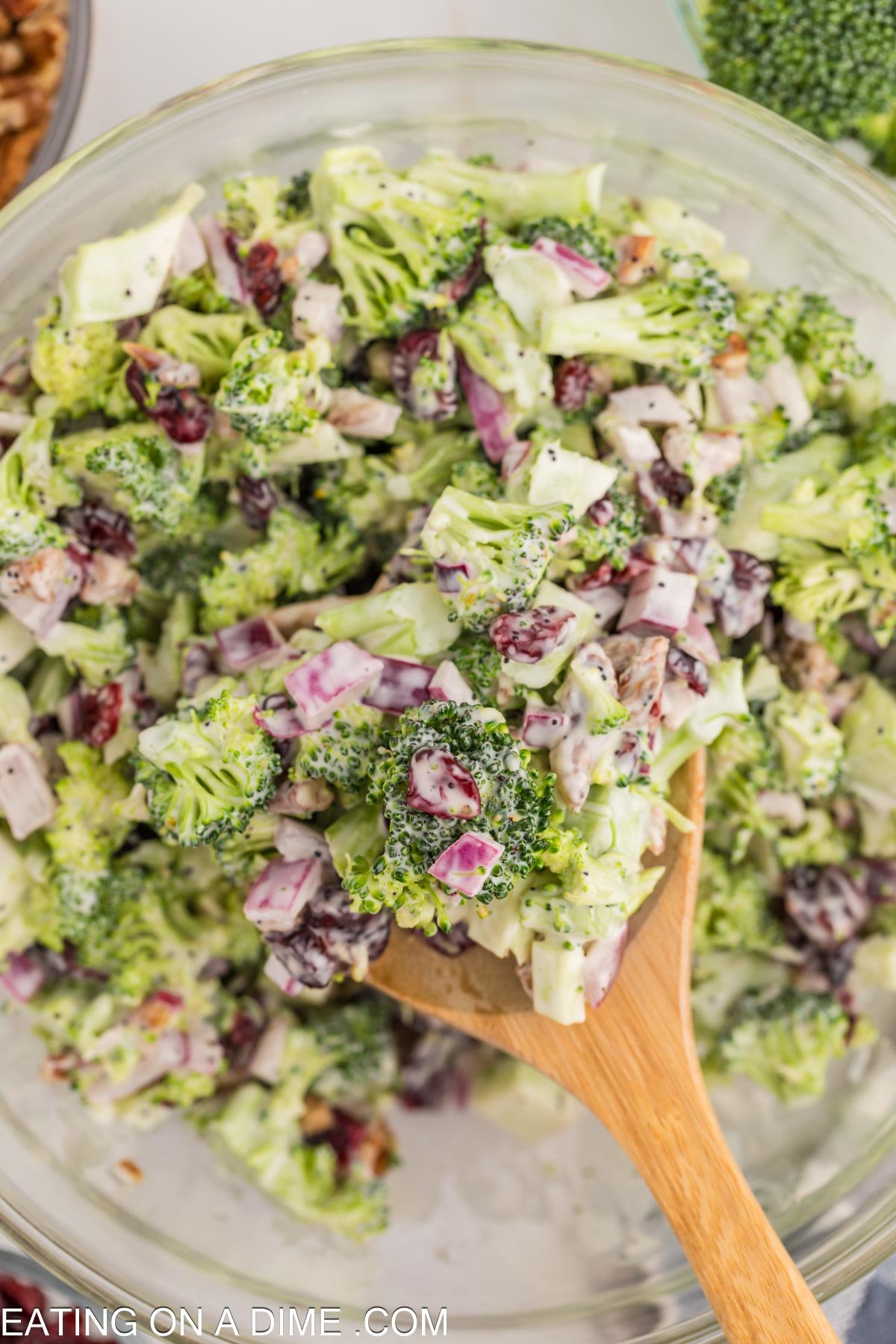 Broccoli Cranberry Salad in a bowl