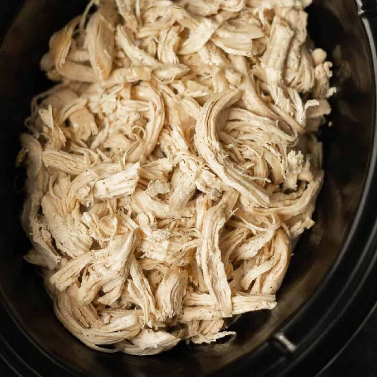 shredded chicken in crock pot