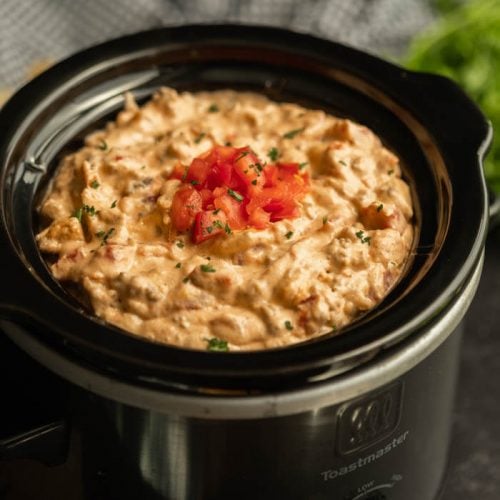 25 Easy Crockpot Dip Recipes - Insanely Good