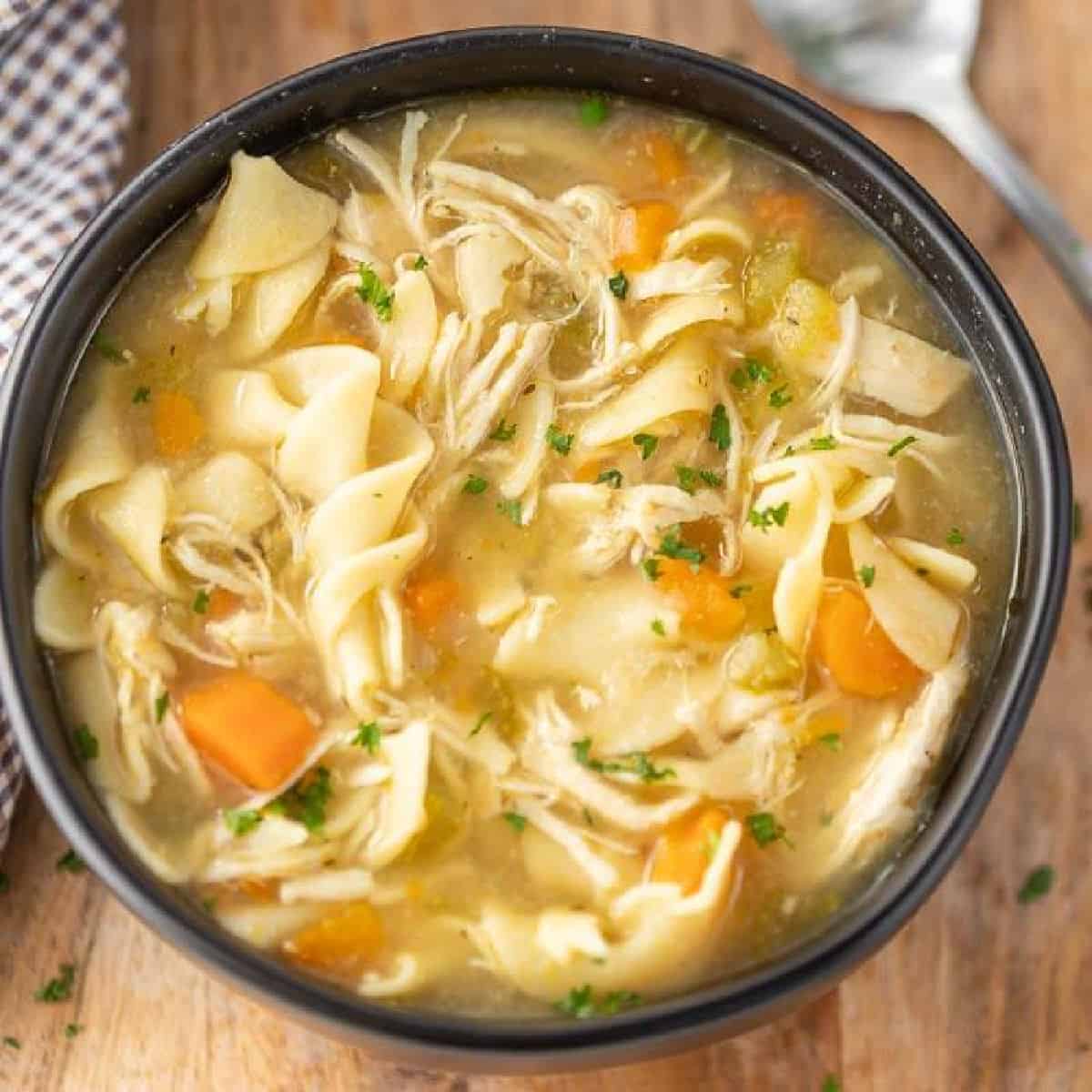 A Bowl of Chicken Noodle Soup.